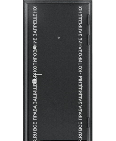 Входная офисная дверь Порошок 0026 Входная офисная дверь Порошок 0026