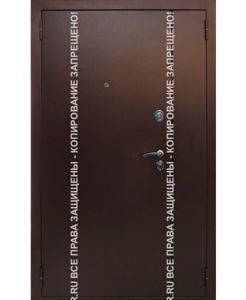 Входная офисная дверь Порошок 0008 Входная офисная дверь Порошок 0008