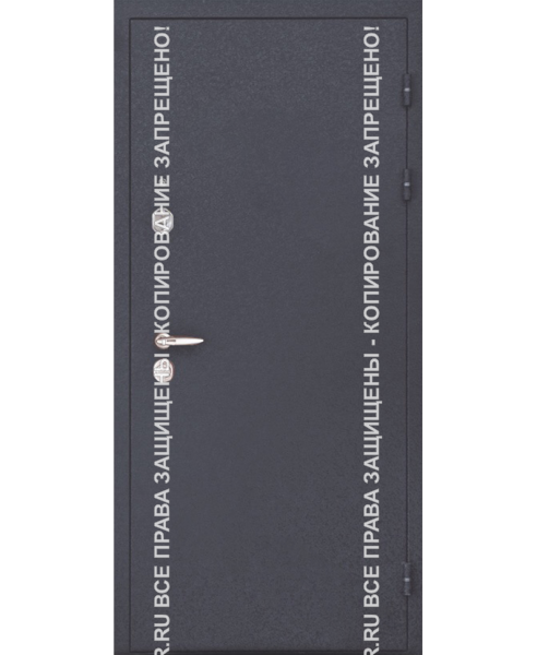 Дверь стальная входная офисная Порошок0030 Дверь стальная входная офисная Порошок0030