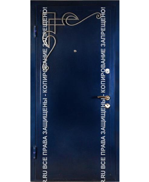 Входная офисная дверь Порошок 0040 Входная офисная дверь Порошок 0040